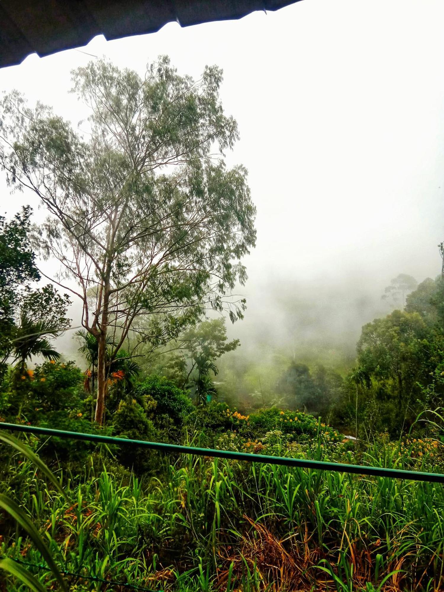 New Rose Villa Bandarawela Ella Exterior photo