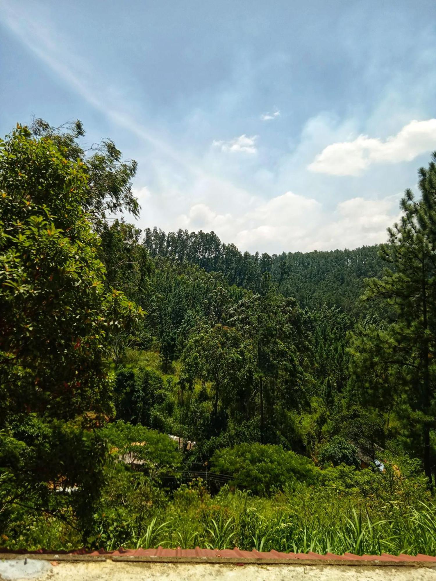 New Rose Villa Bandarawela Ella Exterior photo